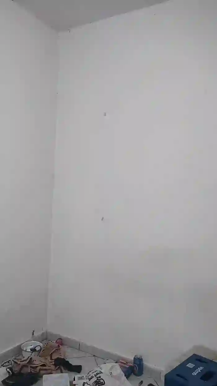Aieloucura