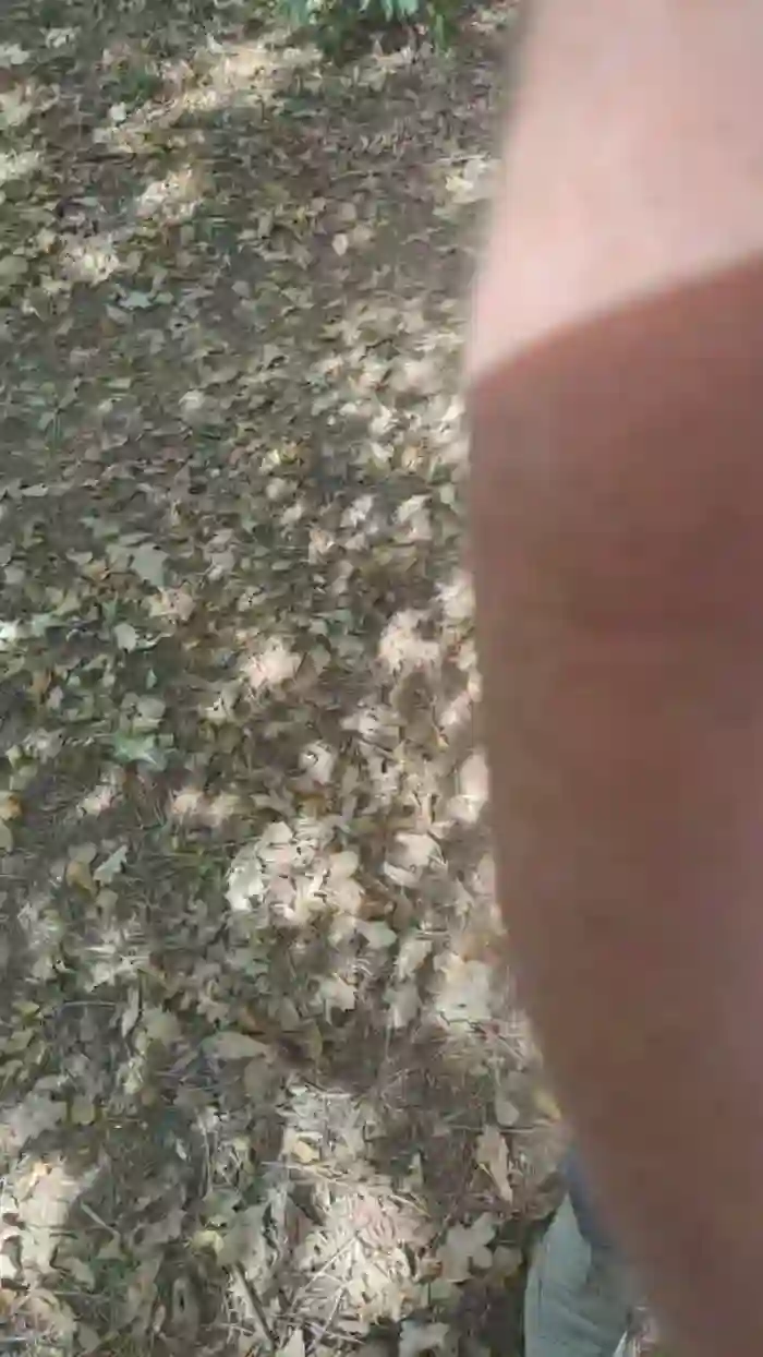 Dezslaaf25