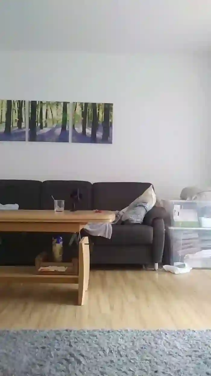 derspritzer0