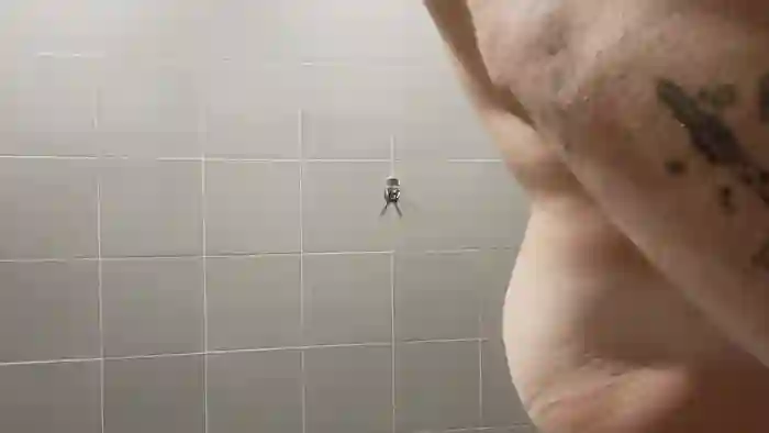 manuelmp87