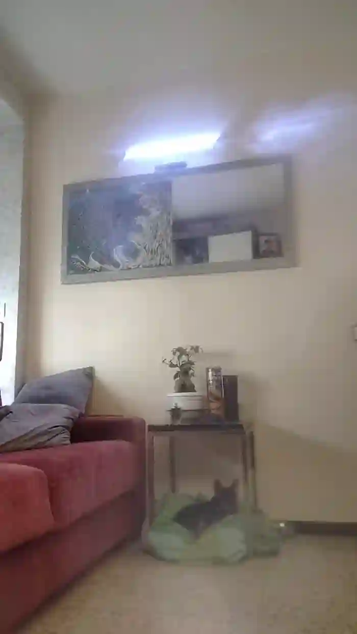 Themonkey07
