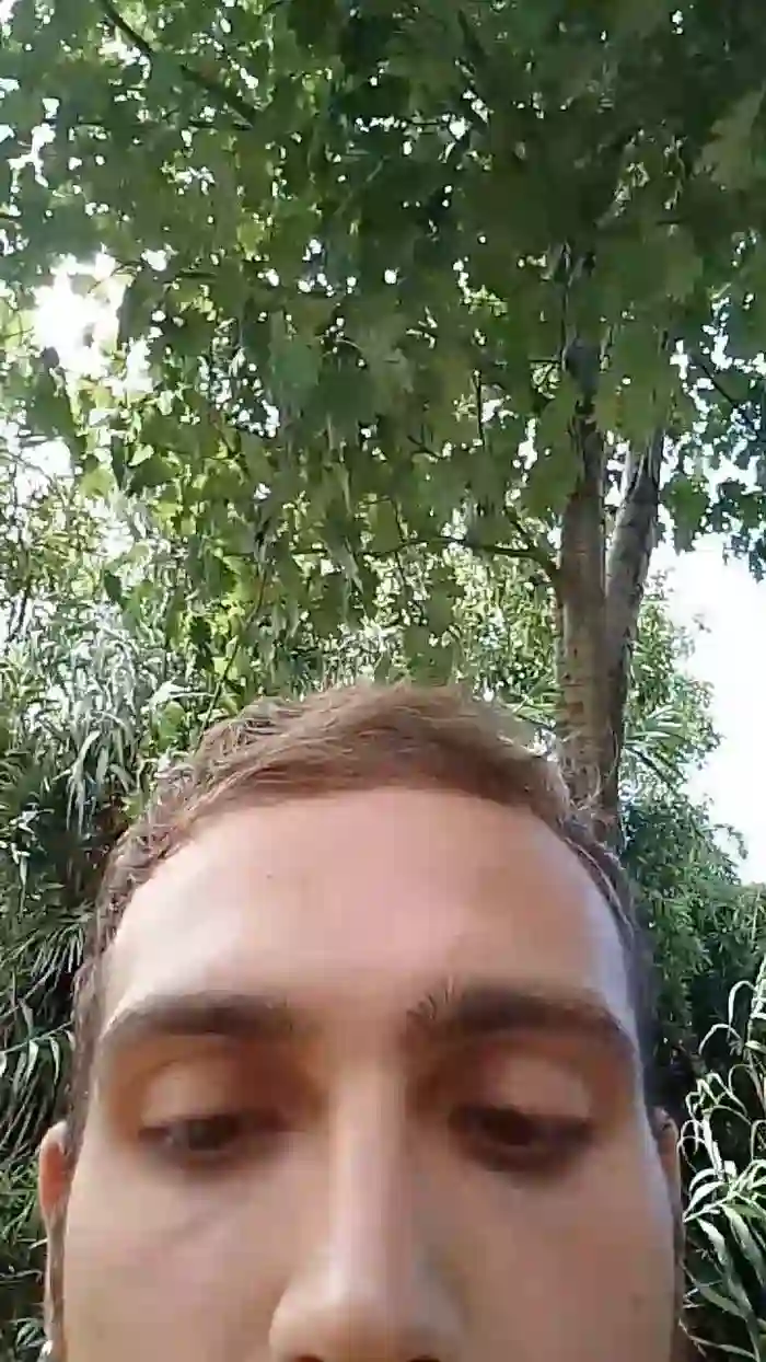 lLovePussy01