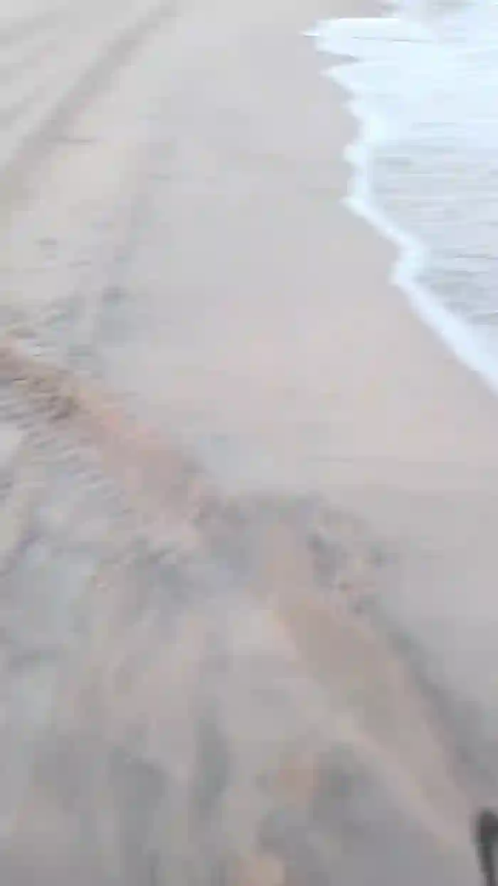 Daddy_capixaba