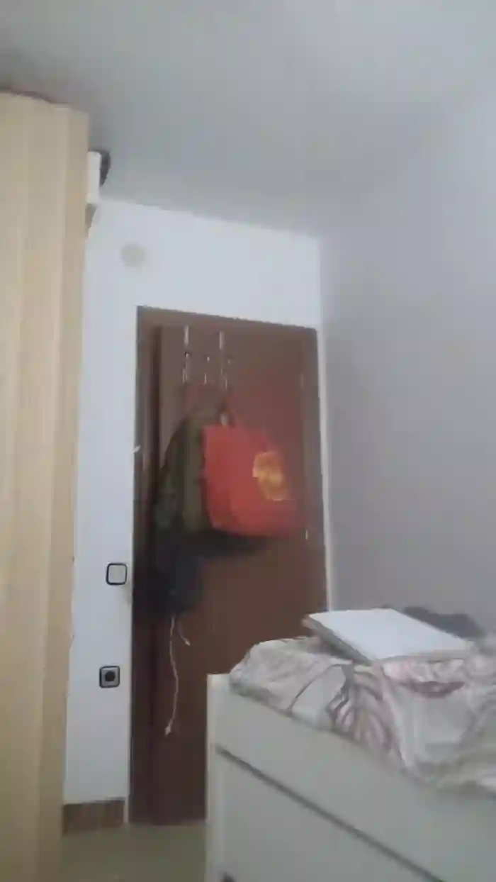 Themonkey07