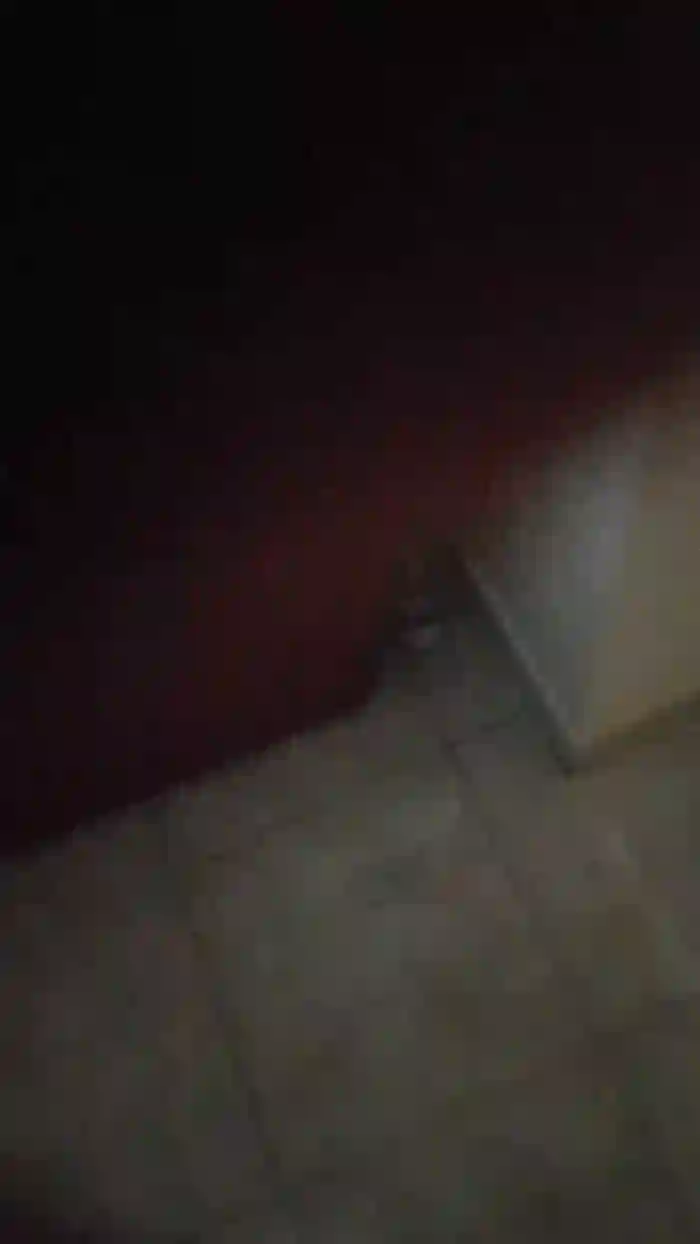 Zoccoletta81