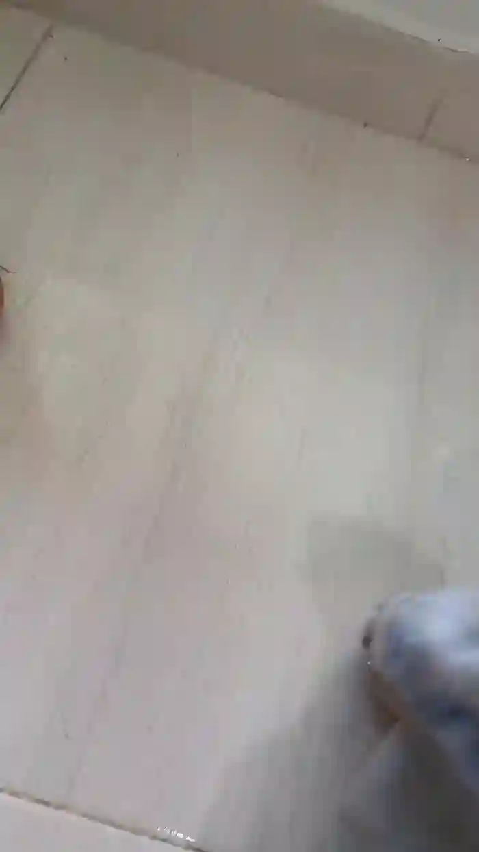 Tania__honey