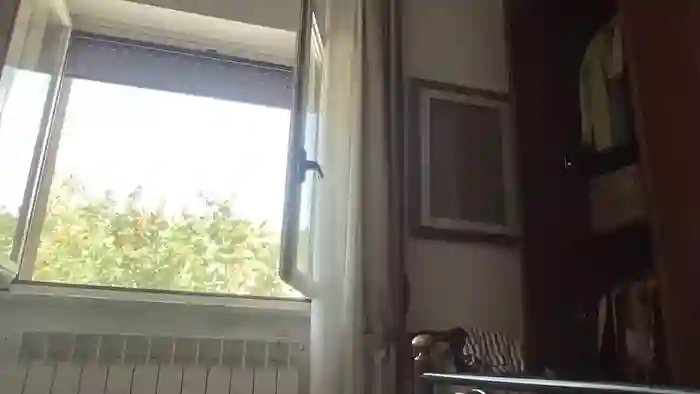 martinabigst