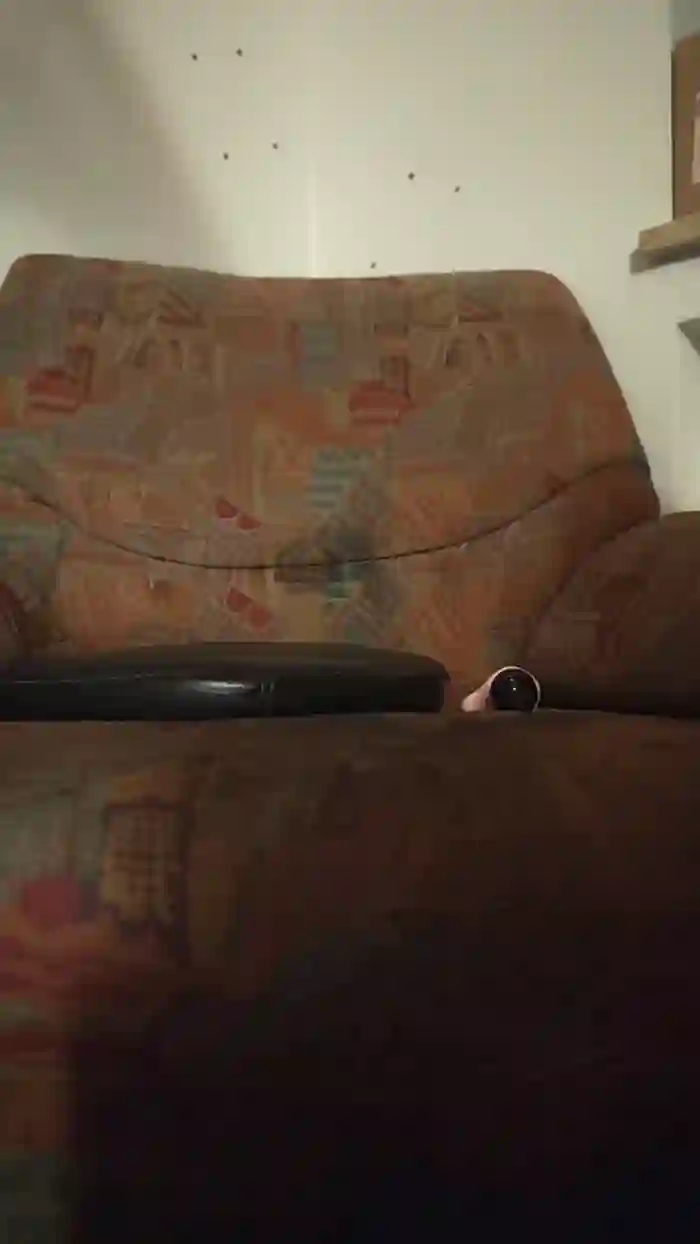 Fisterella_TV