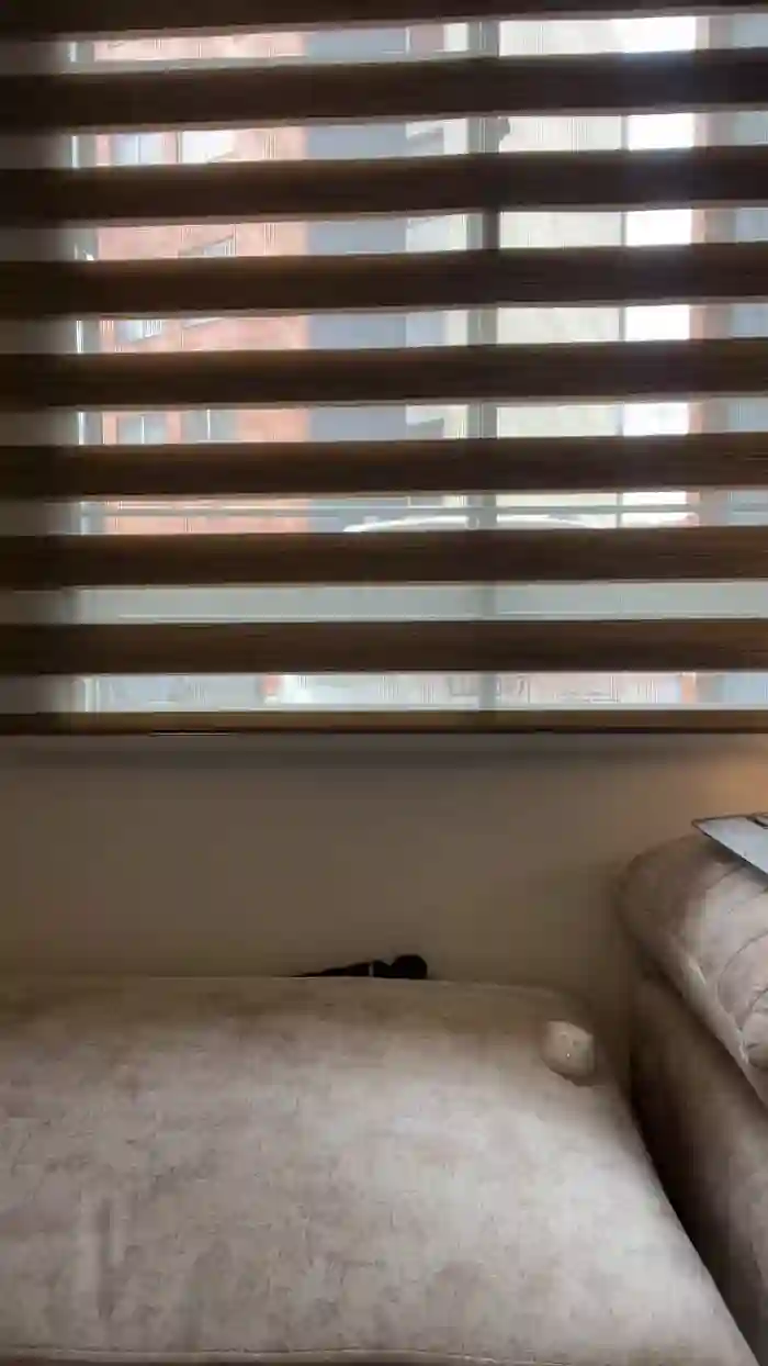 valenhill_