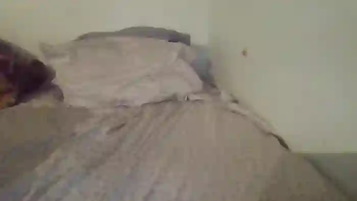 Bigtoyguy34