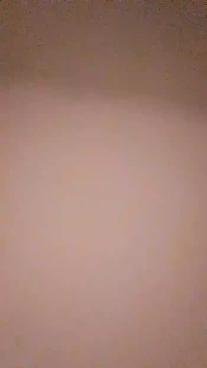 Biscochita