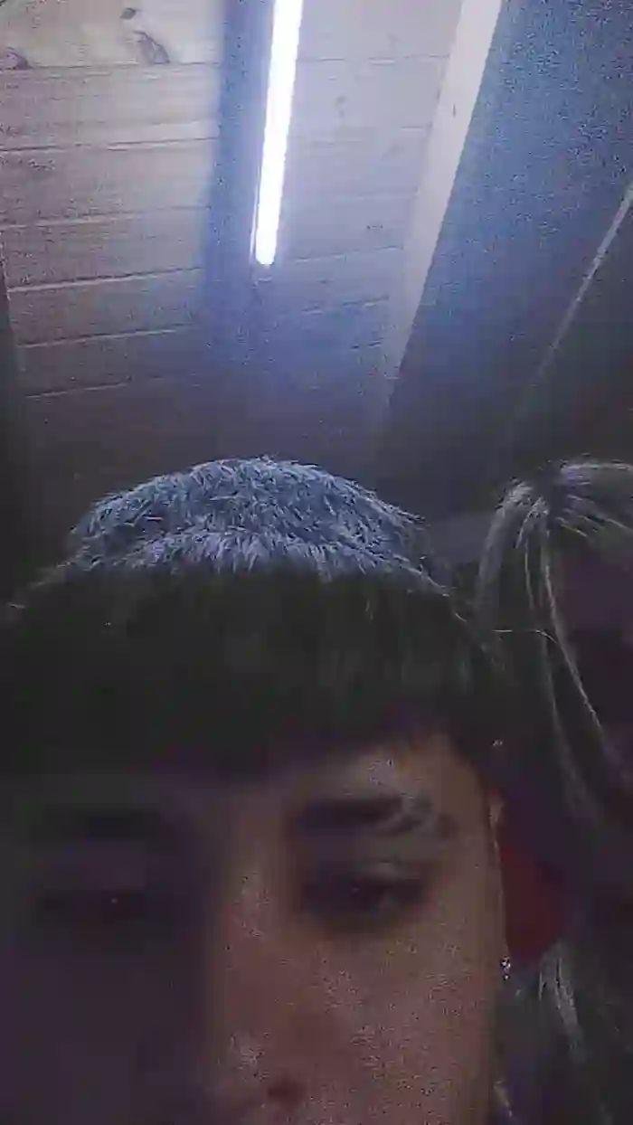 bebe3666
