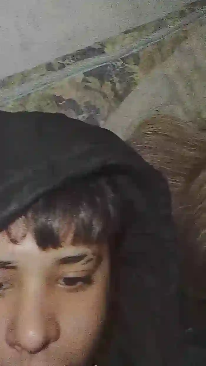 bebe3666