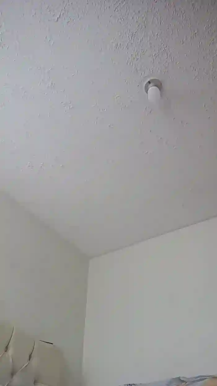 Dayann_Foxsr