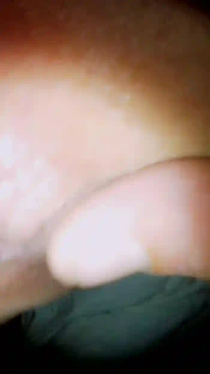 Scalareale66