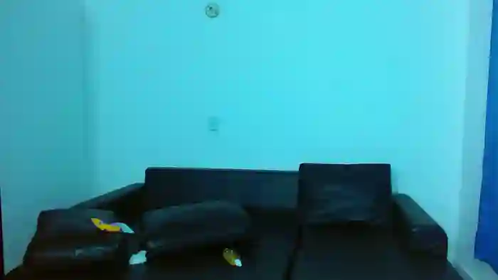 dream_fulfille2