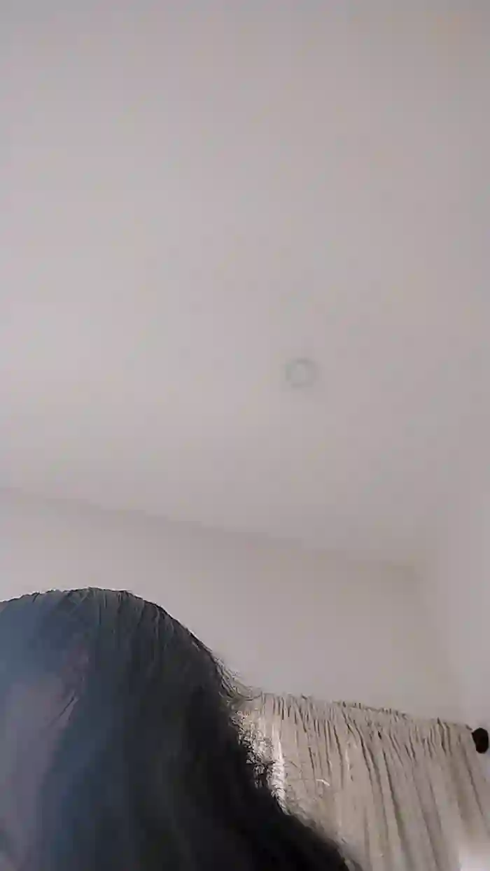 Kittyfeet1