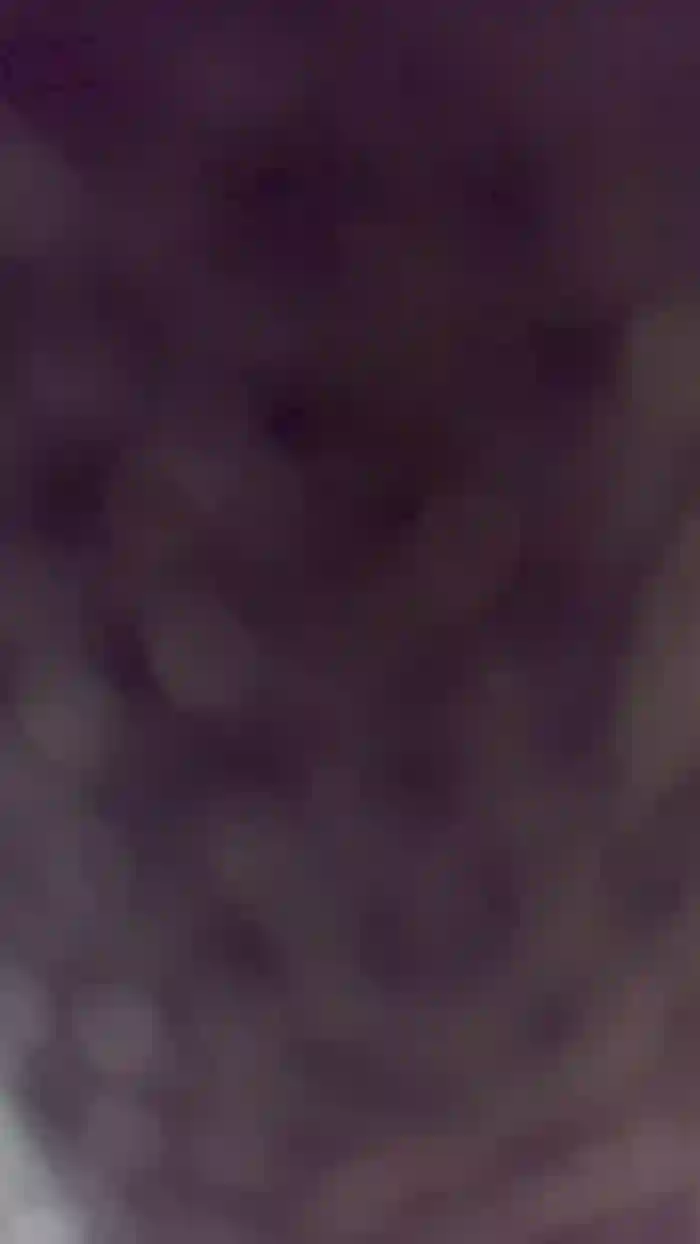 Olivelucy2