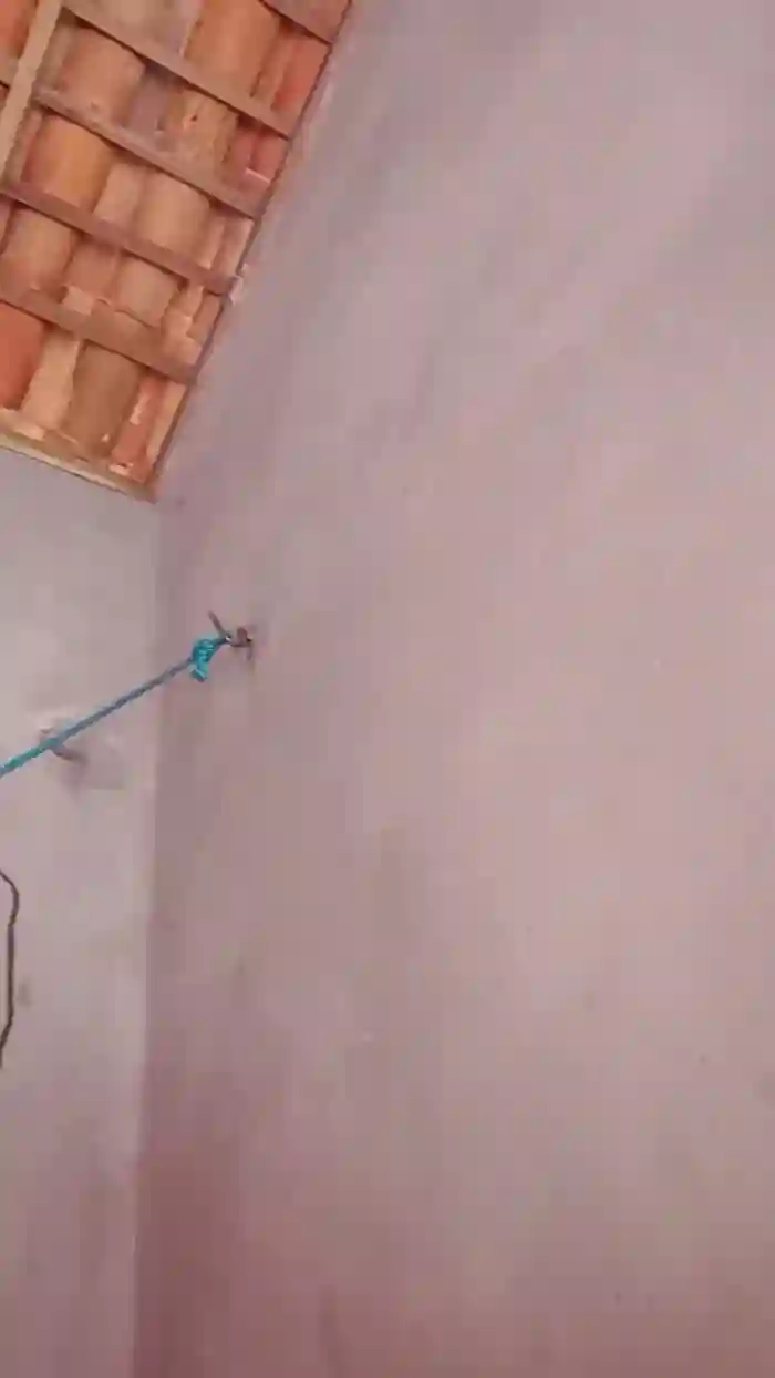 Pretinha089