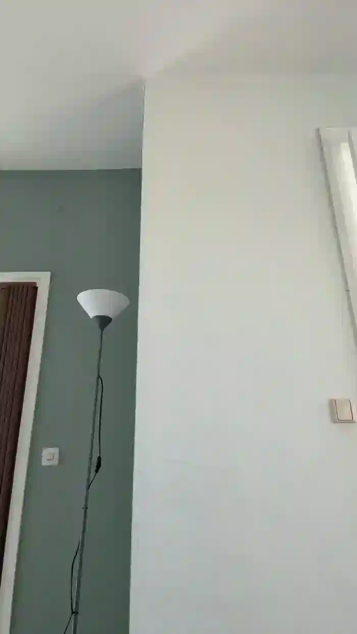 Domm99