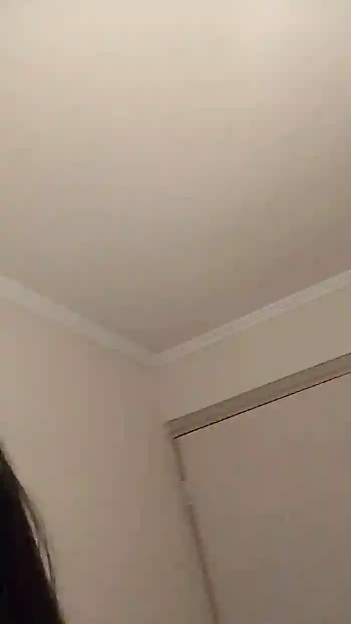 Yamilechile