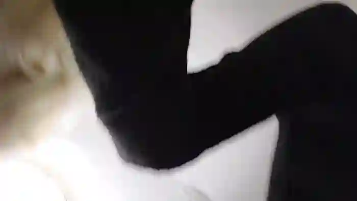 susylux20