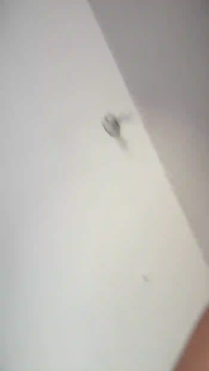 LilyGarcia