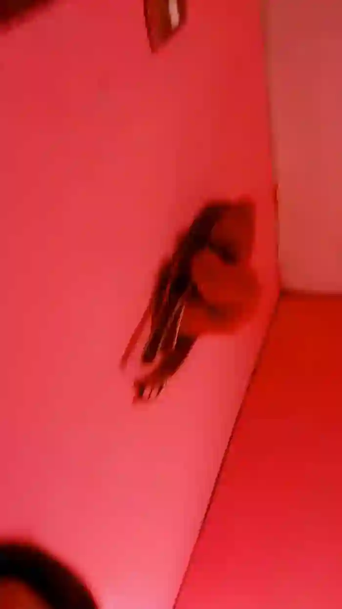 Camilita7389