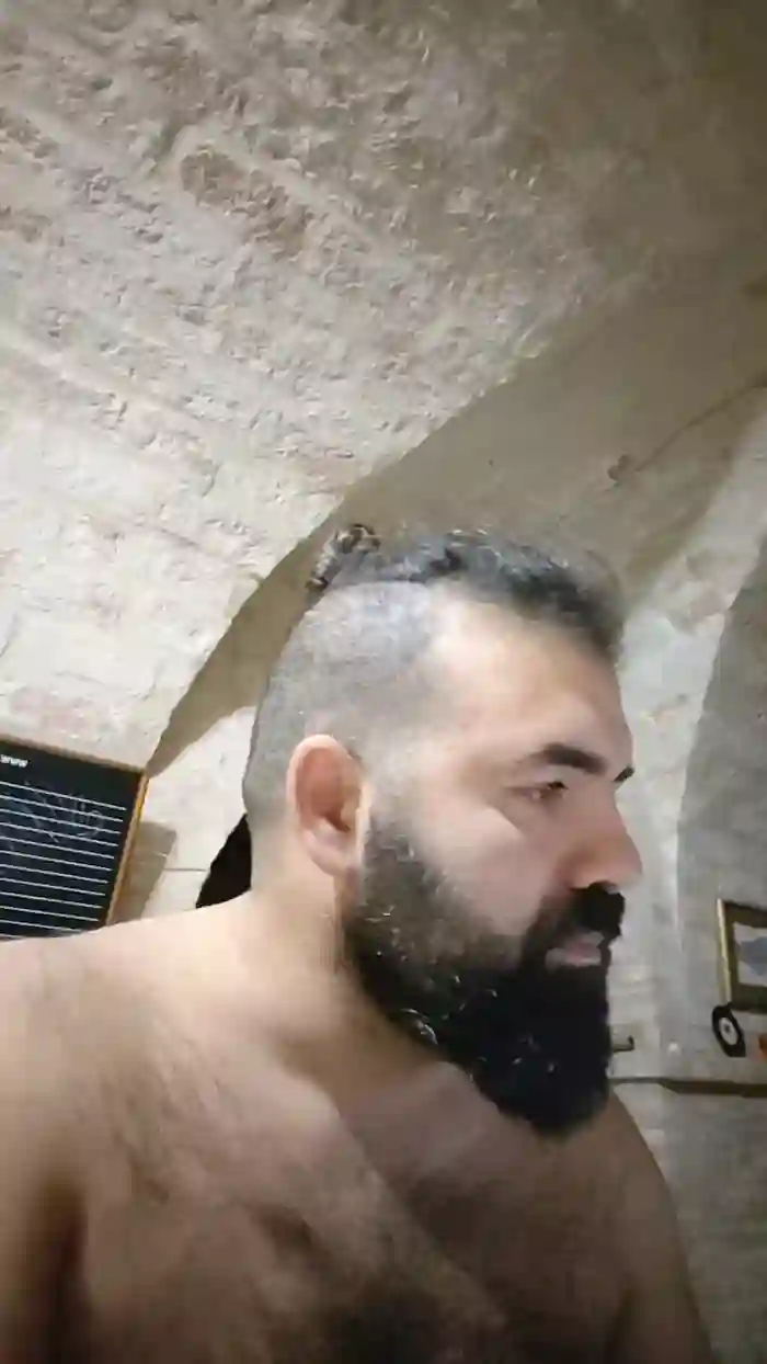 Cerbero31