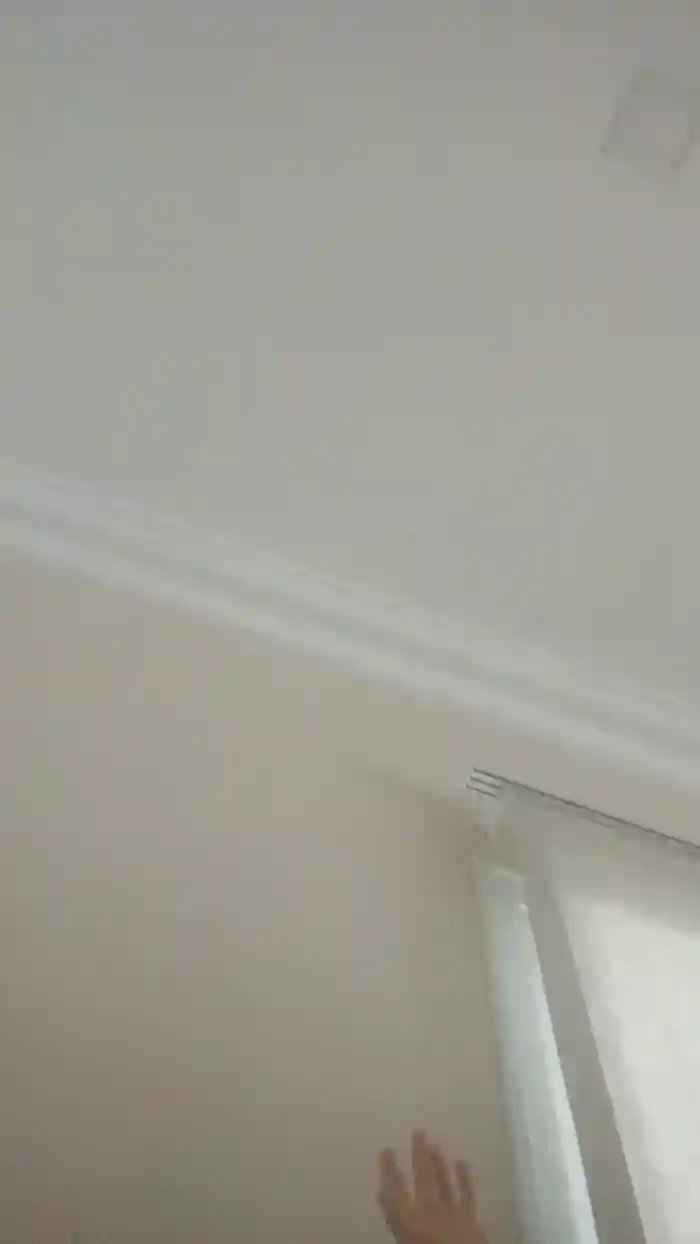 jimefaba2