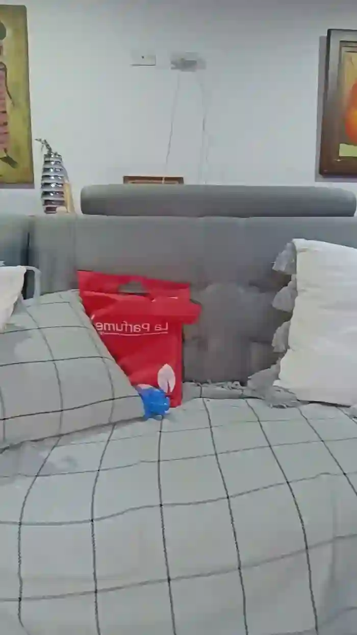 Savannahbunny