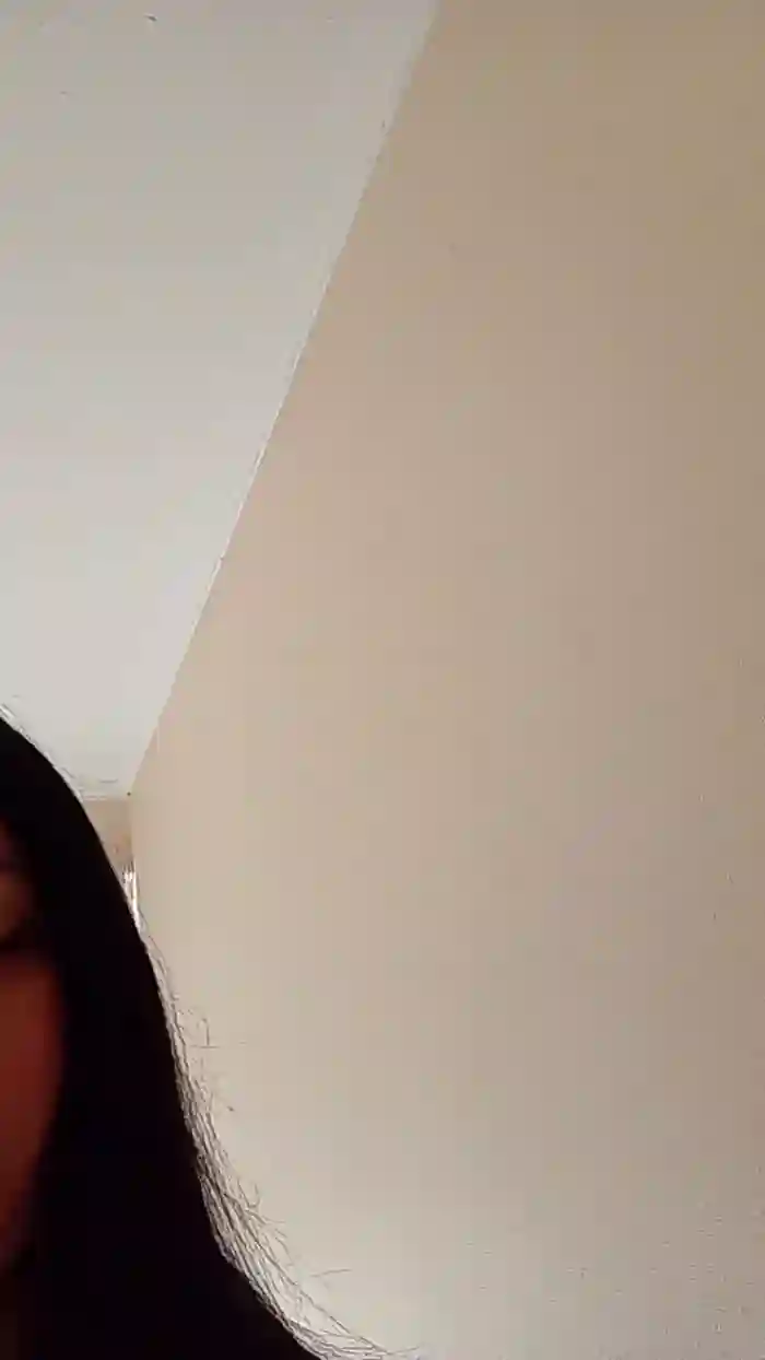 Camystgo