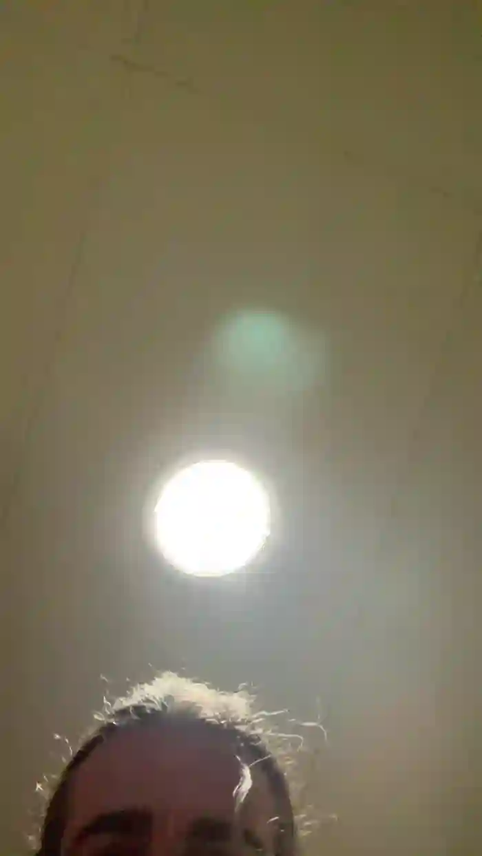 Pollon29_cm