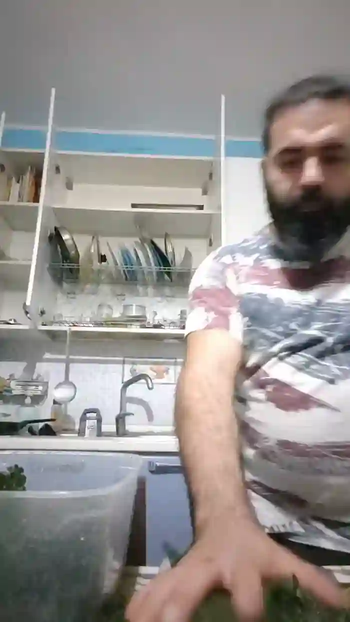 Cerbero31
