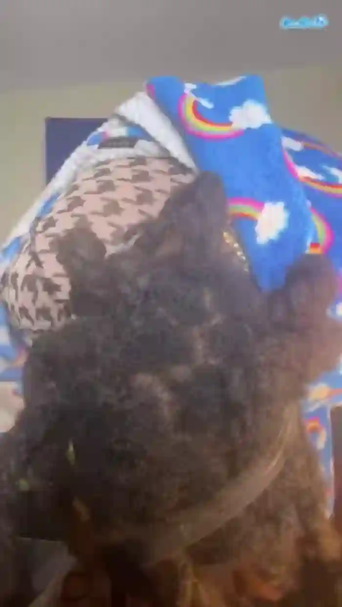 haitiansinsationsquirtqueen