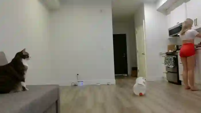 allybeexo