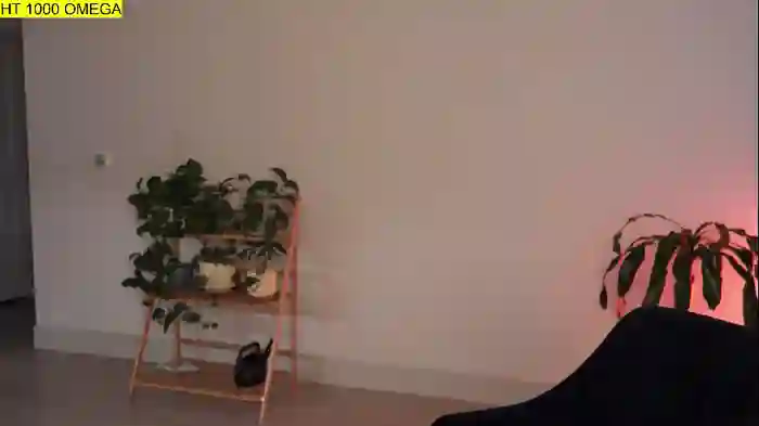 doubedeesarai