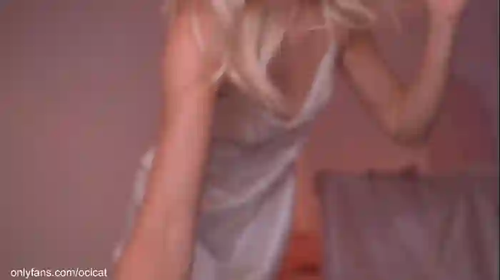 ocicat