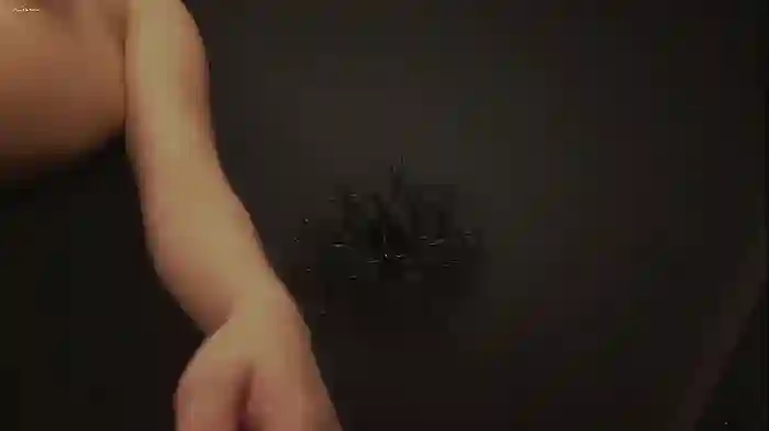aryamirelle