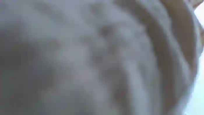 my_mia_