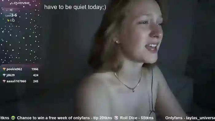 laylas_universe