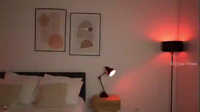 chloewildd