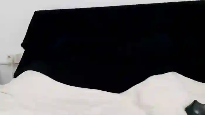 apollobest77