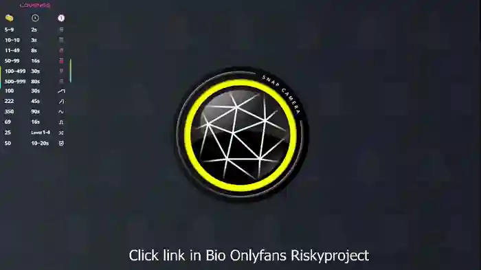 riskyproject