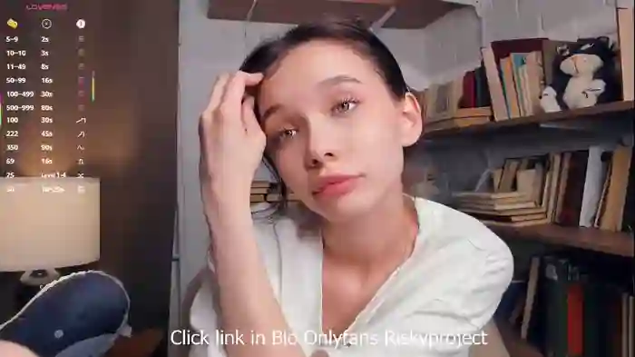 riskyproject