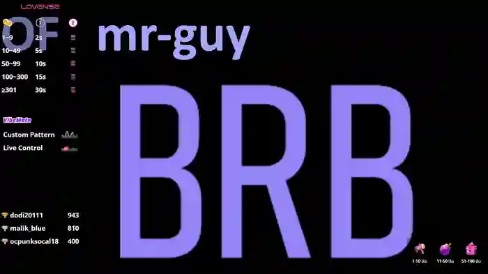 _mrguy_