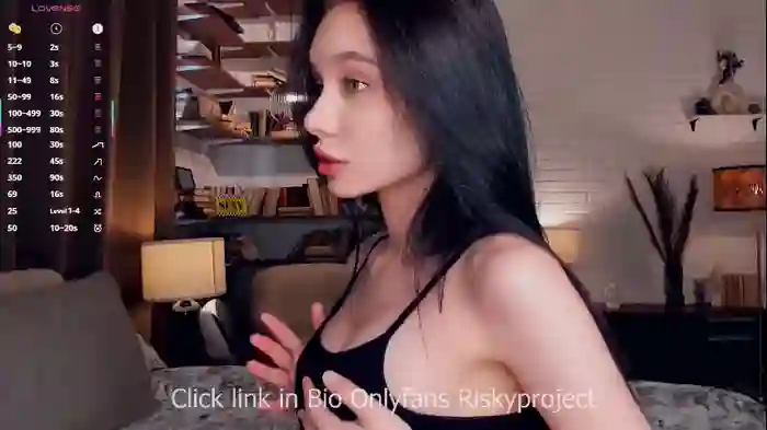 riskyproject