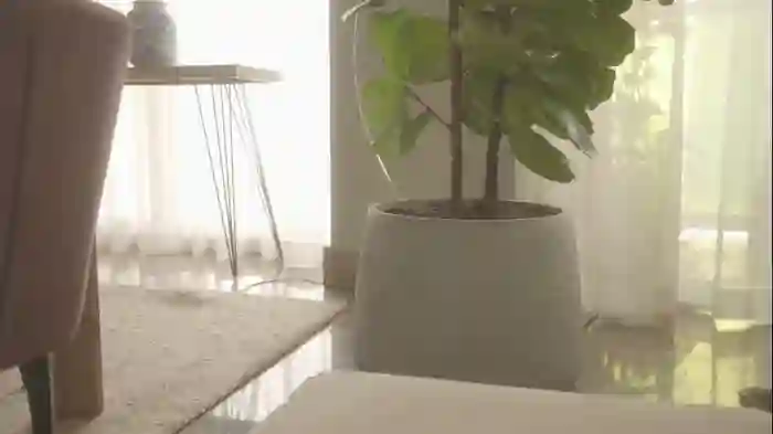 emma_lu1