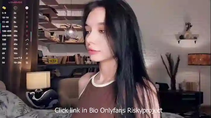 riskyproject