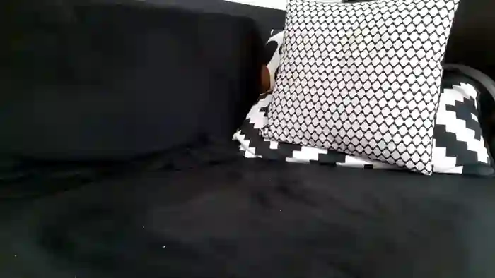 apollobest77